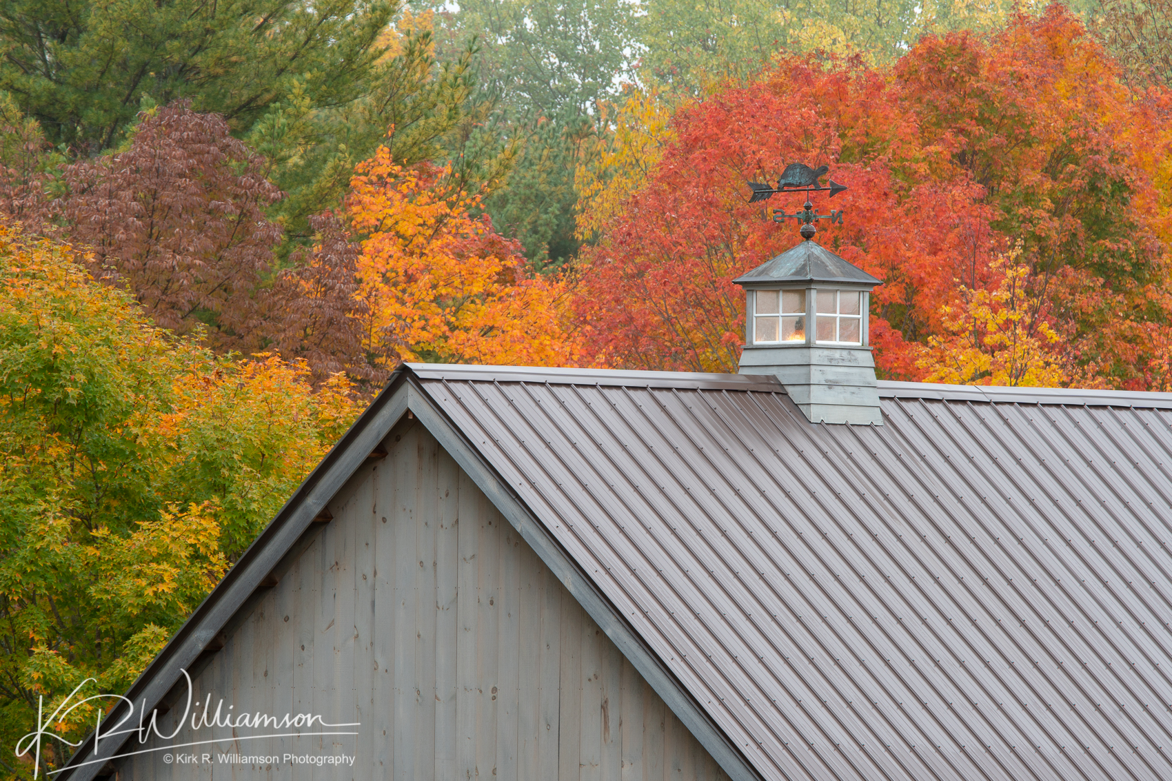 Fall Foliage and barn