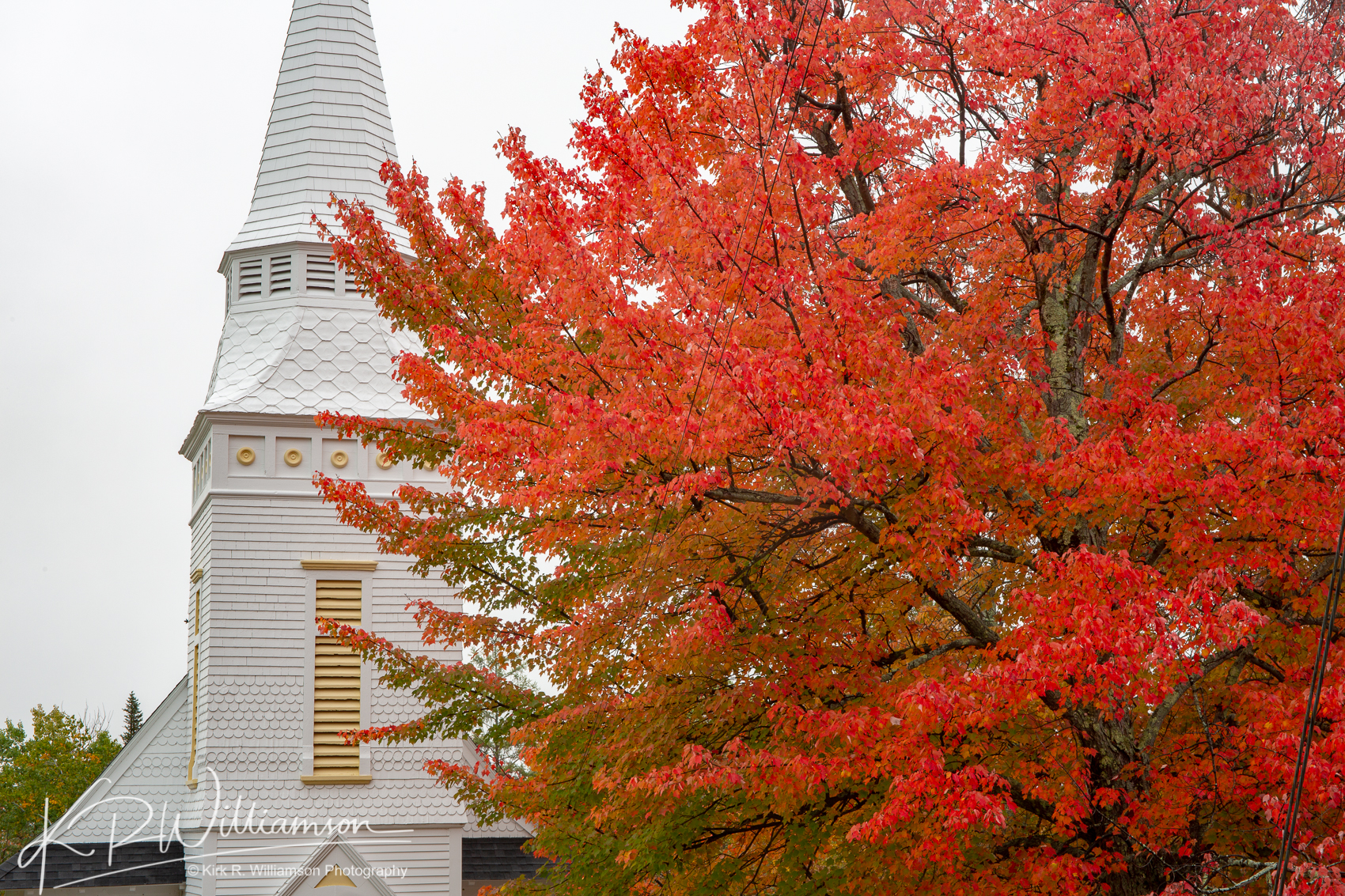 Fall Foliage Sugar Hill