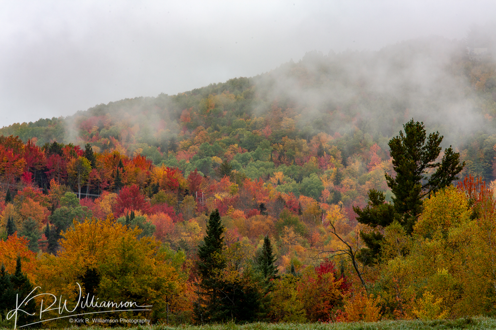 Foliage, hills and mist