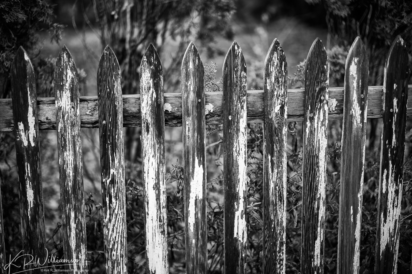 Barren fence Ipswich, MA