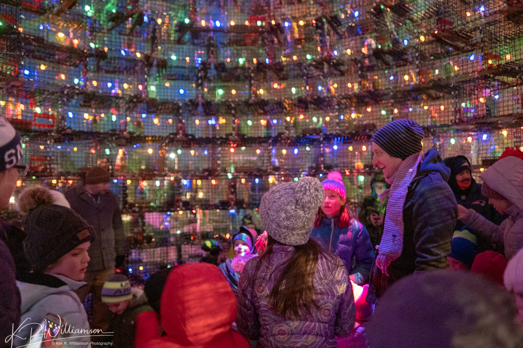 Inside the Lobster Trap tree