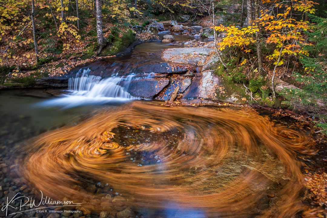 Colorful leaves create a swirl in the water with a slow shutter speed