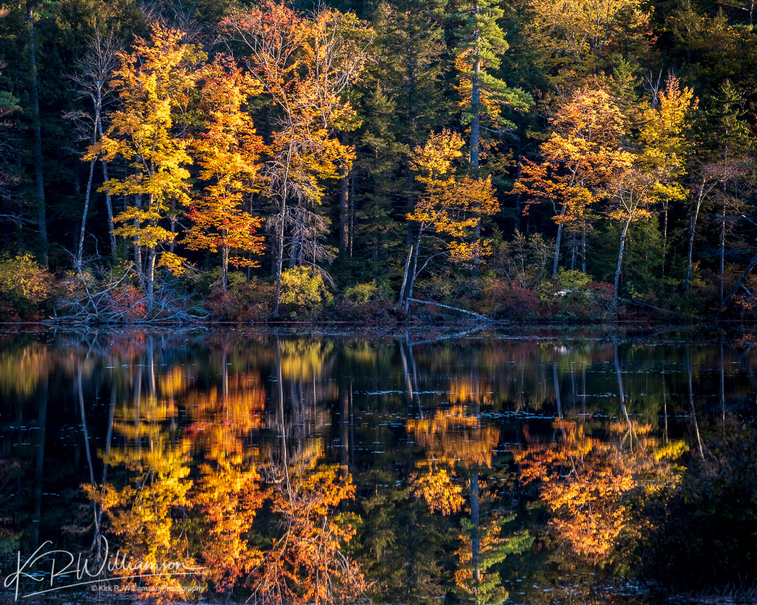 Colorful fall leaves reflect on Lake Chocorua